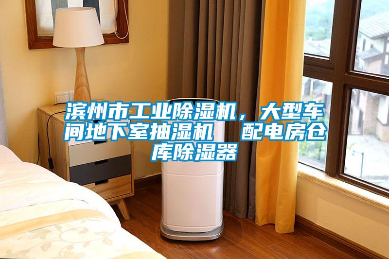 濱州市工業除濕機，大型車間地下室抽濕機  配電房倉庫除濕器