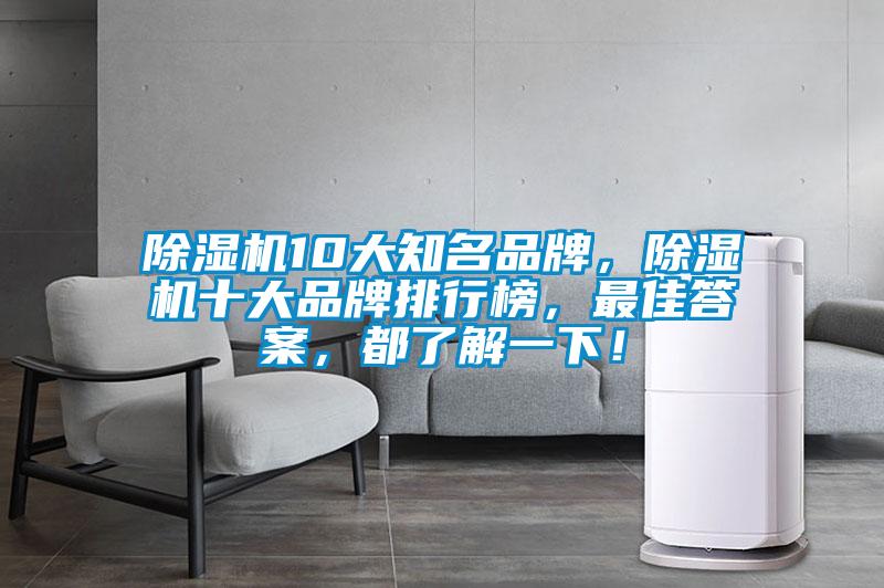 除濕機10大知名品牌，除濕機十大品牌排行榜，最佳答案，都了解一下！