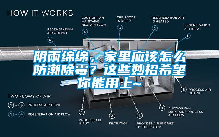 陰雨綿綿，家里應該怎么防潮除霉？這些妙招希望你能用上~