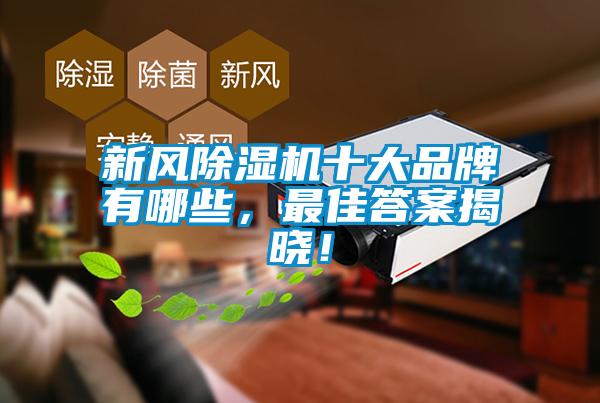 新風除濕機十大品牌有哪些，最佳答案揭曉！
