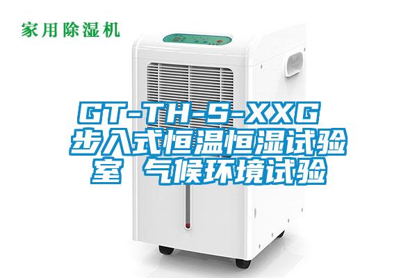 GT-TH-S-XXG 步入式恒溫恒濕試驗室 氣候環境試驗