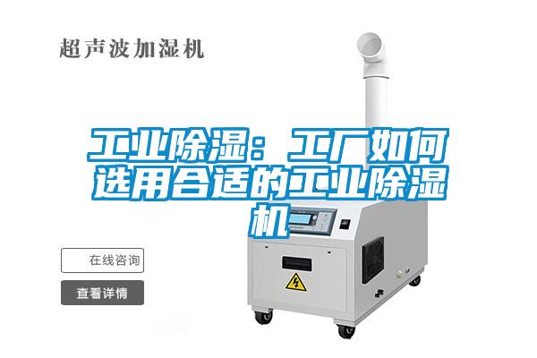 工業除濕：工廠如何選用合適的工業除濕機