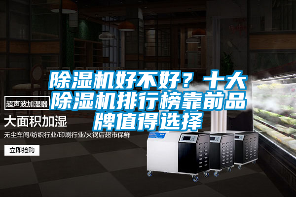 除濕機好不好？十大除濕機排行榜靠前品牌值得選擇