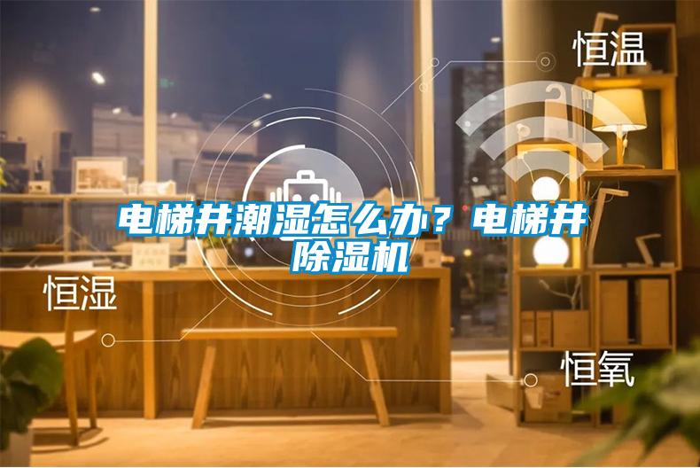 電梯井潮濕怎么辦？電梯井除濕機