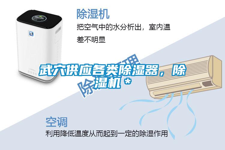 武穴供應各類除濕器，除濕機＊