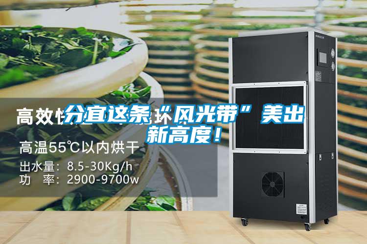 分宜這條“風光帶”美出新高度！