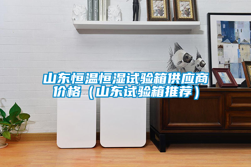 山東恒溫恒濕試驗箱供應(yīng)商價格（山東試驗箱推薦）