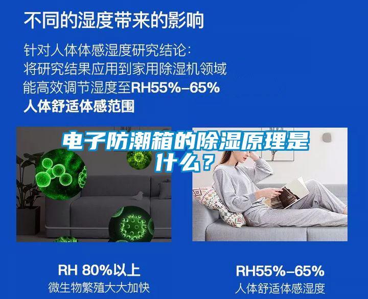 電子防潮箱的除濕原理是什么？