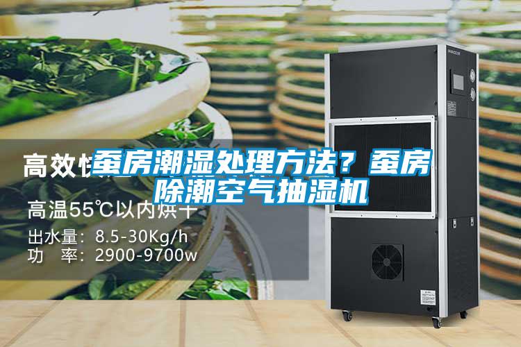 蠶房潮濕處理方法？蠶房除潮空氣抽濕機