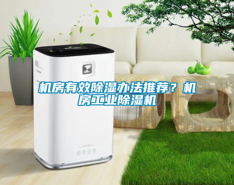 機房有效除濕辦法推薦？機房工業除濕機