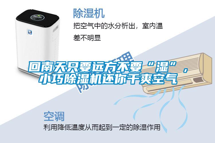 回南天只要遠(yuǎn)方不要“濕”，小巧除濕機還你干爽空氣