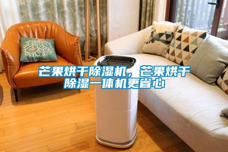芒果烘干除濕機，芒果烘干除濕一體機更省心
