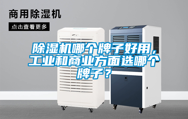 除濕機哪個牌子好用，工業和商業方面選哪個牌子？