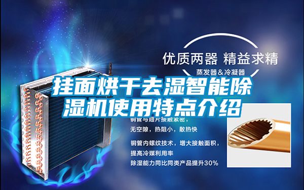 掛面烘干去濕智能除濕機(jī)使用特點介紹