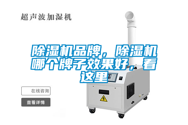 除濕機品牌，除濕機哪個牌子效果好，看這里