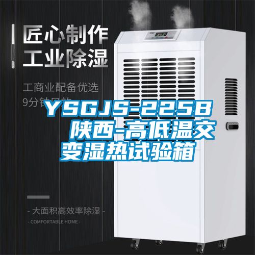 YSGJS-225B  陜西-高低溫交變濕熱試驗(yàn)箱