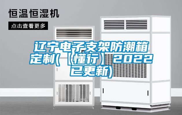 遼寧電子支架防潮箱定制(【懂行】2022已更新)