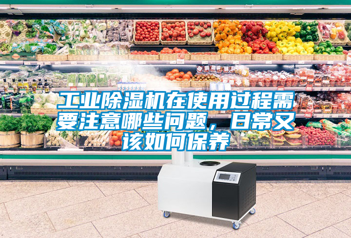 工業(yè)除濕機(jī)在使用過(guò)程需要注意哪些問(wèn)題，日常又該如何保養(yǎng)
