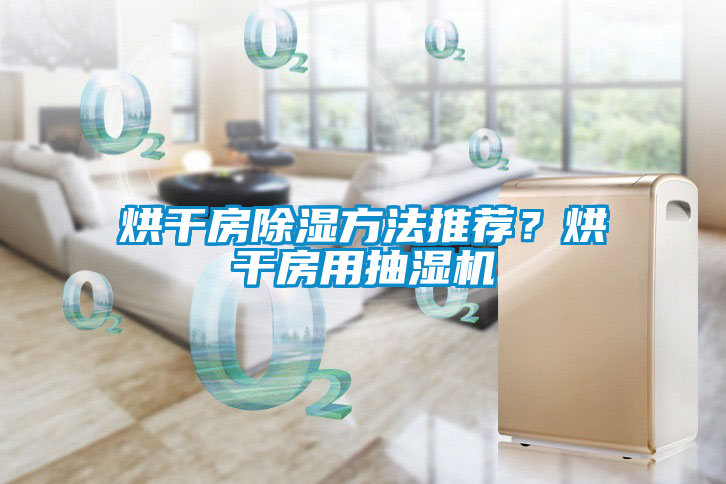烘干房除濕方法推薦？烘干房用抽濕機