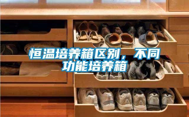 恒溫培養(yǎng)箱區(qū)別，不同功能培養(yǎng)箱