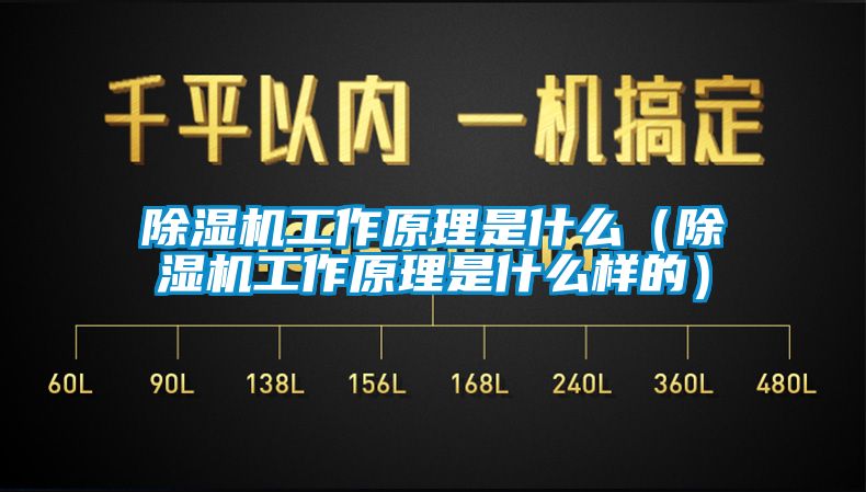 除濕機工作原理是什么（除濕機工作原理是什么樣的）