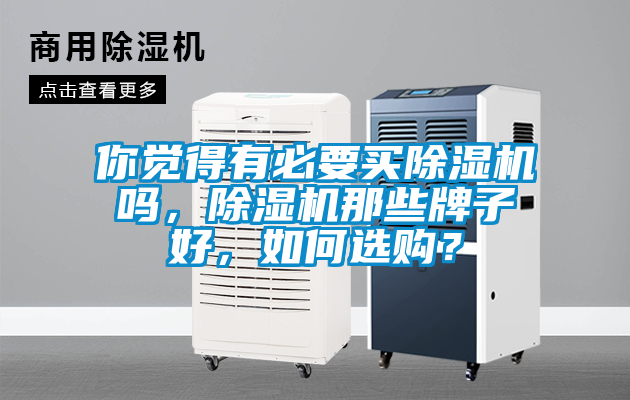 你覺得有必要買除濕機嗎，除濕機那些牌子好，如何選購？