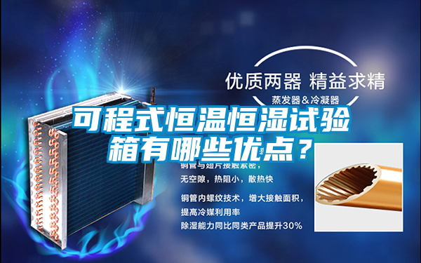 可程式恒溫恒濕試驗箱有哪些優點？