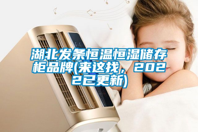 湖北發條恒溫恒濕儲存柜品牌(來這找，2022已更新)