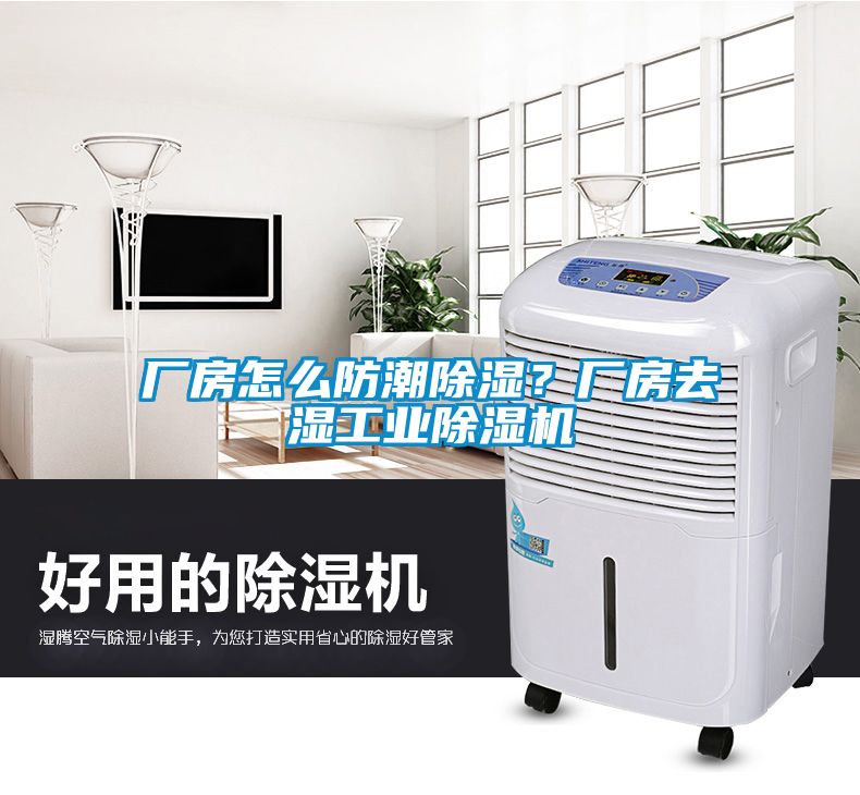 廠房怎么防潮除濕？廠房去濕工業除濕機