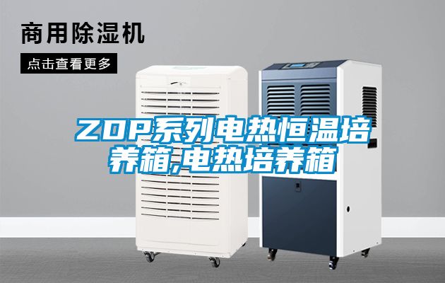 ZDP系列電熱恒溫培養箱,電熱培養箱