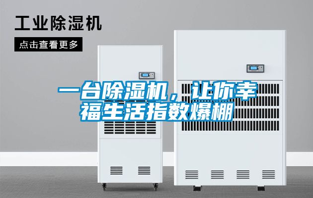 一臺除濕機，讓你幸福生活指數爆棚