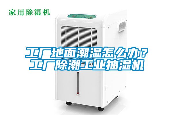 工廠地面潮濕怎么辦？工廠除潮工業抽濕機