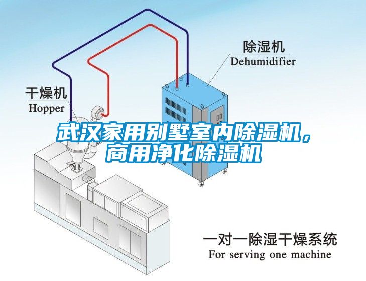 武漢家用別墅室內除濕機，商用凈化除濕機