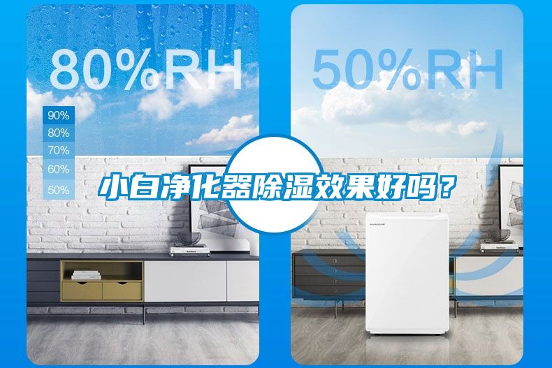 小白凈化器除濕效果好嗎？