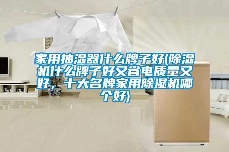 家用抽濕器什么牌子好(除濕機(jī)什么牌子好又省電質(zhì)量又好，十大名牌家用除濕機(jī)哪個好)