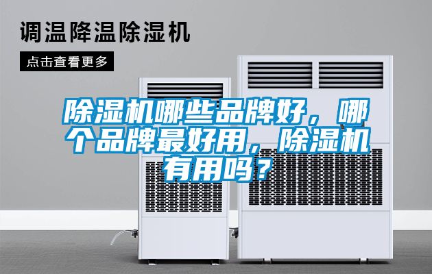 除濕機哪些品牌好，哪個品牌最好用，除濕機有用嗎？