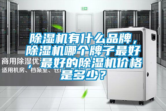 除濕機有什么品牌，除濕機哪個牌子最好，最好的除濕機價格是多少？