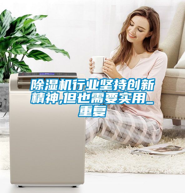 除濕機(jī)行業(yè)堅持創(chuàng)新精神,但也需要實(shí)用_重復(fù)