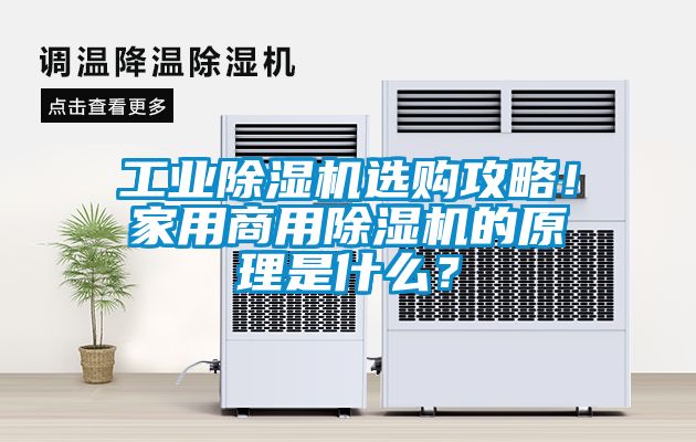 工業除濕機選購攻略！家用商用除濕機的原理是什么？