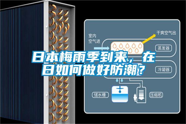 日本梅雨季到來，在日如何做好防潮？