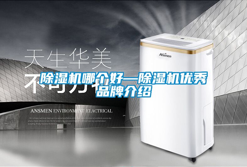 除濕機(jī)哪個好—除濕機(jī)優(yōu)秀品牌介紹