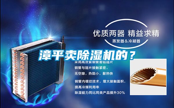 漳平賣除濕機的？
