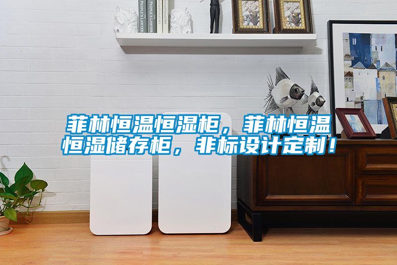 菲林恒溫恒濕柜，菲林恒溫恒濕儲存柜，非標設計定制！