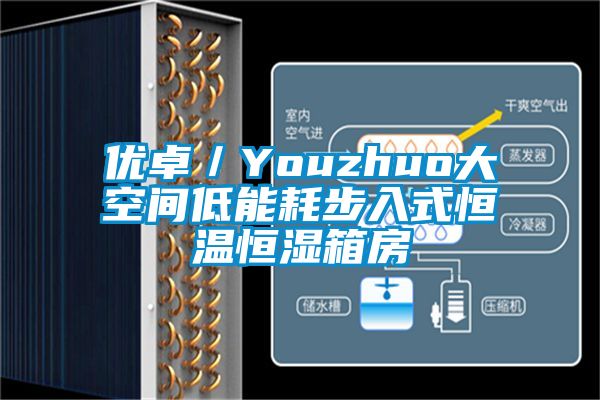 優卓／Youzhuo大空間低能耗步入式恒溫恒濕箱房