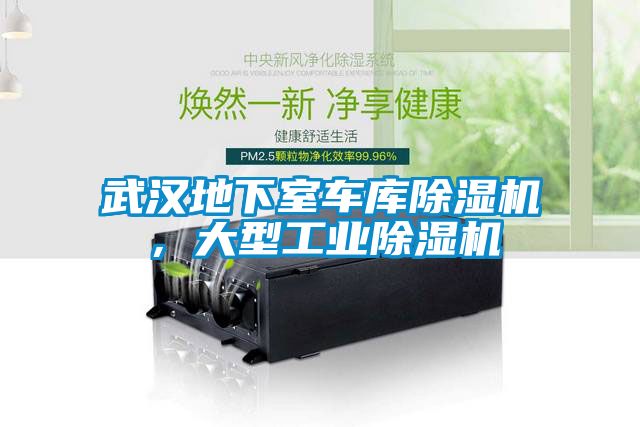 武漢地下室車庫(kù)除濕機(jī)，大型工業(yè)除濕機(jī)