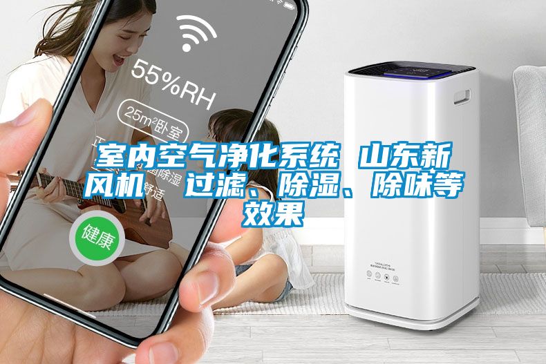 室內空氣凈化系統 山東新風機  過濾、除濕、除味等效果