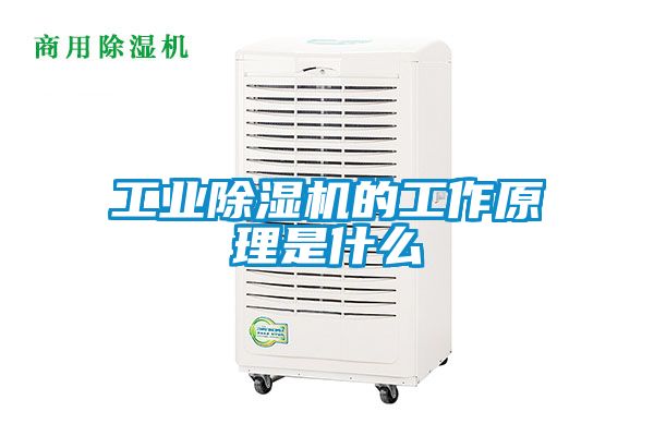 工業除濕機的工作原理是什么