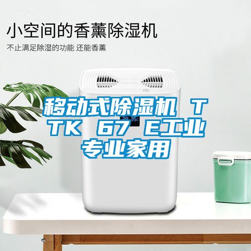 移動式除濕機 TTK 67 E工業專業家用