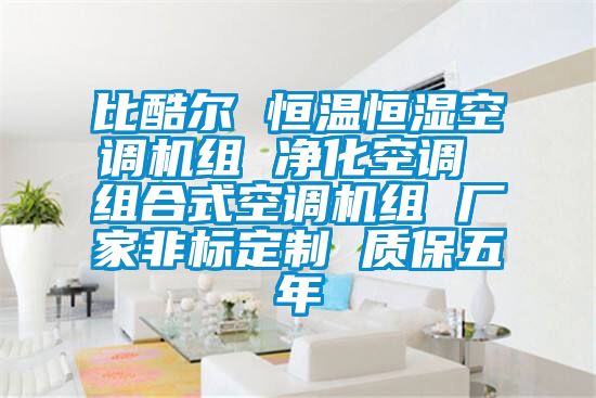 比酷爾 恒溫恒濕空調機組 凈化空調 組合式空調機組 廠家非標定制 質保五年