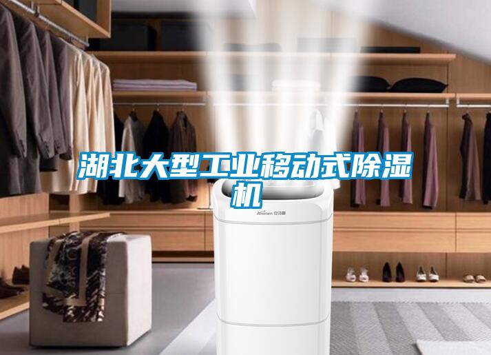 湖北大型工業移動式除濕機